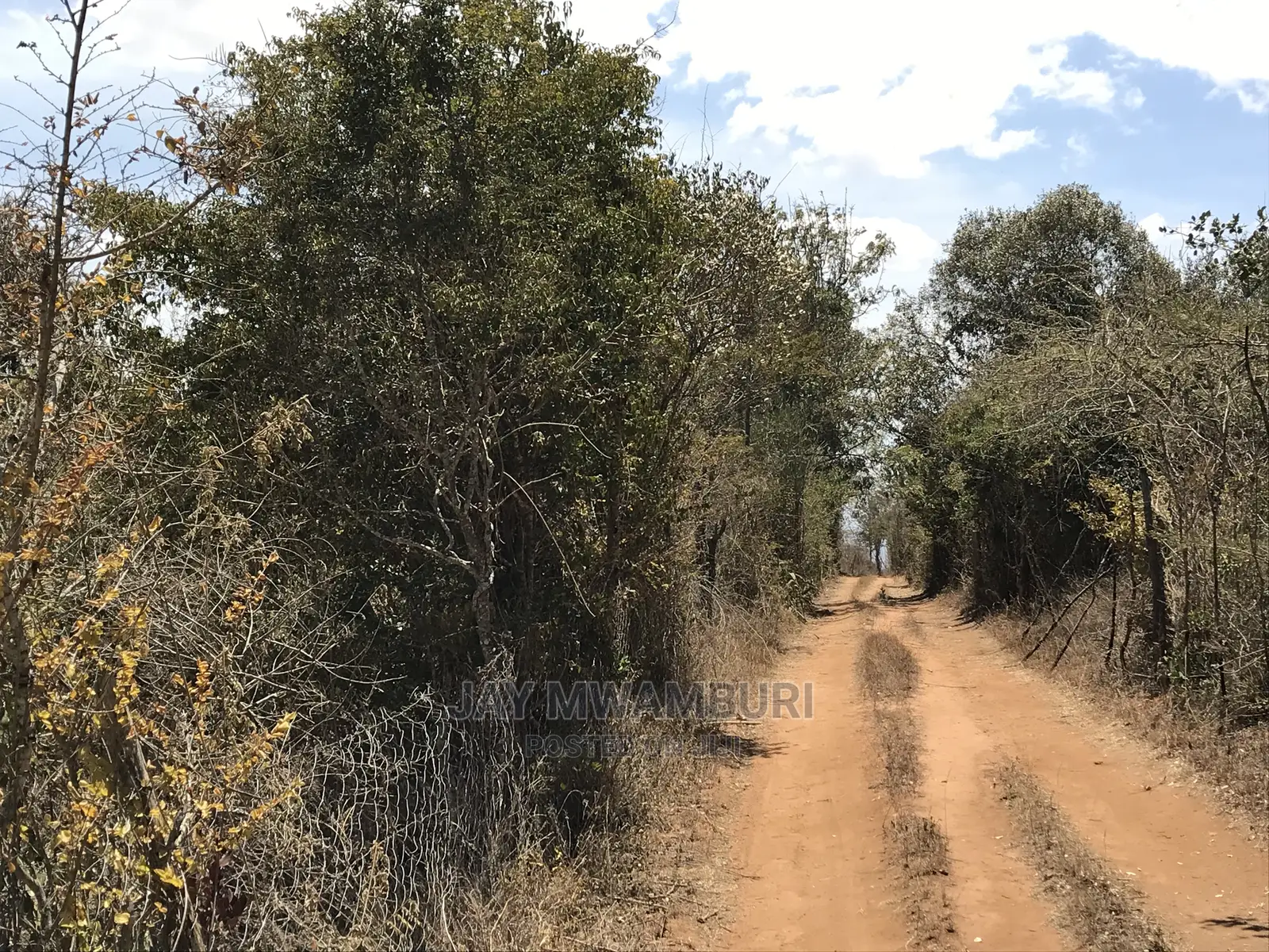 20 Acres Mua Hill