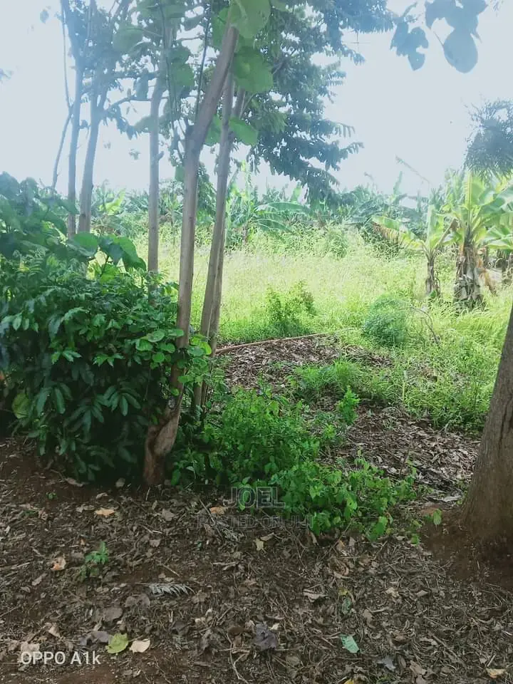 Langa Langa 2 Acres Land