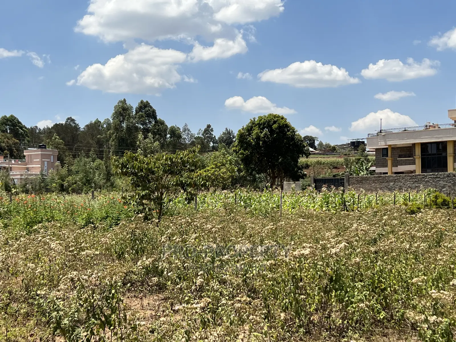 Prime Plot in Gikambura