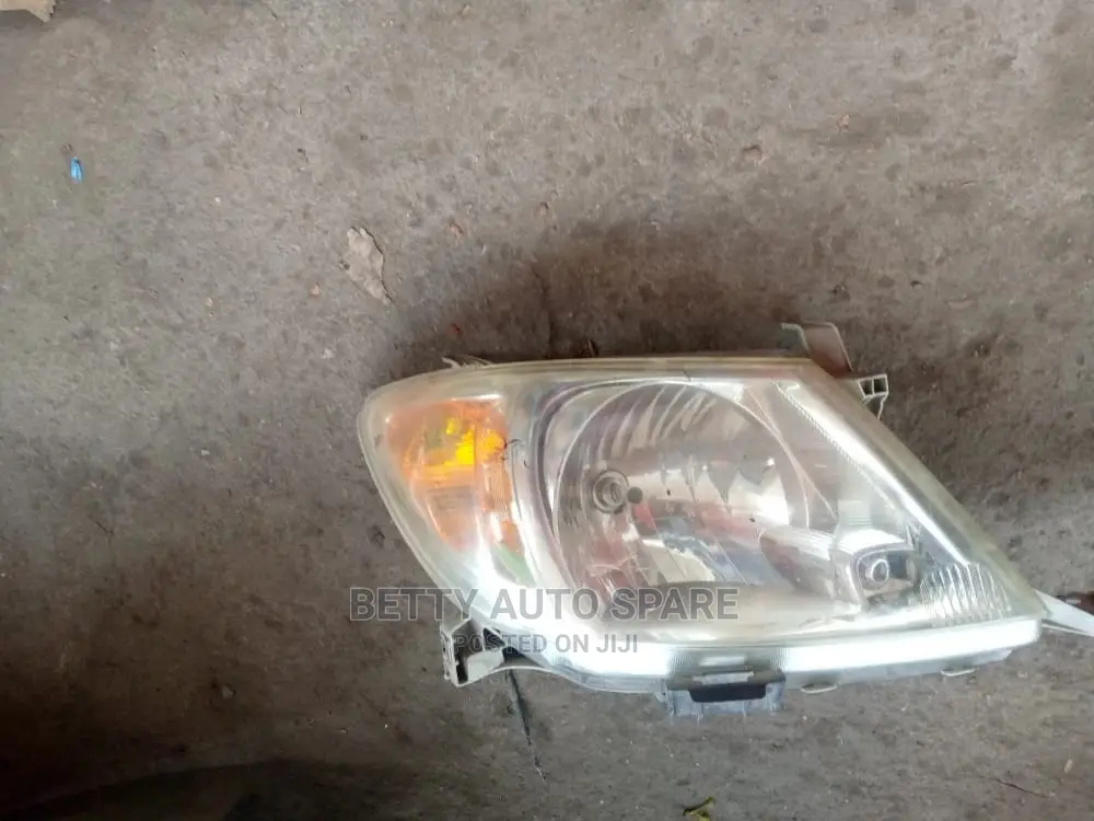 Vigo Headlight