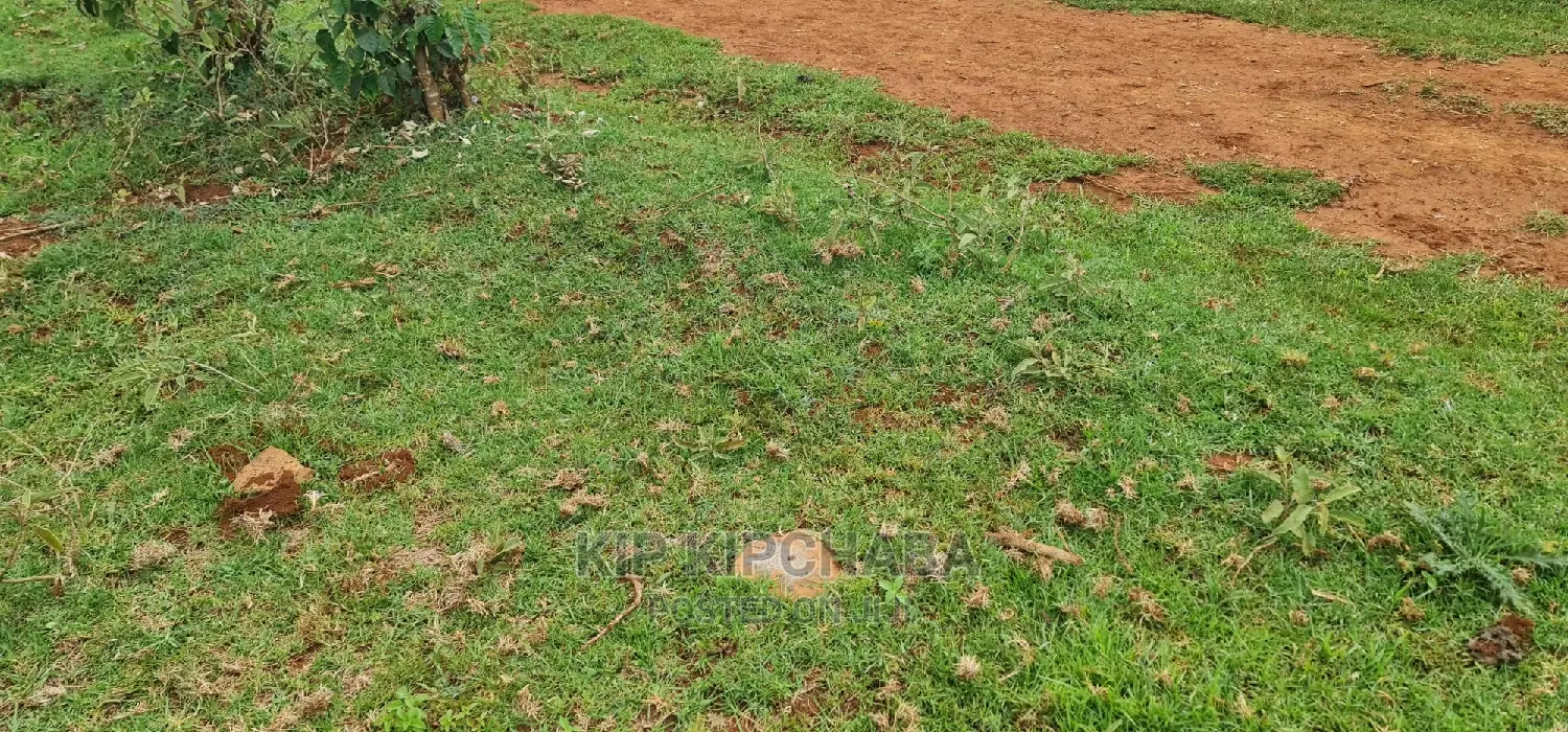 Prime Residential Plpt Got Sale in Chepkanga Eldoret