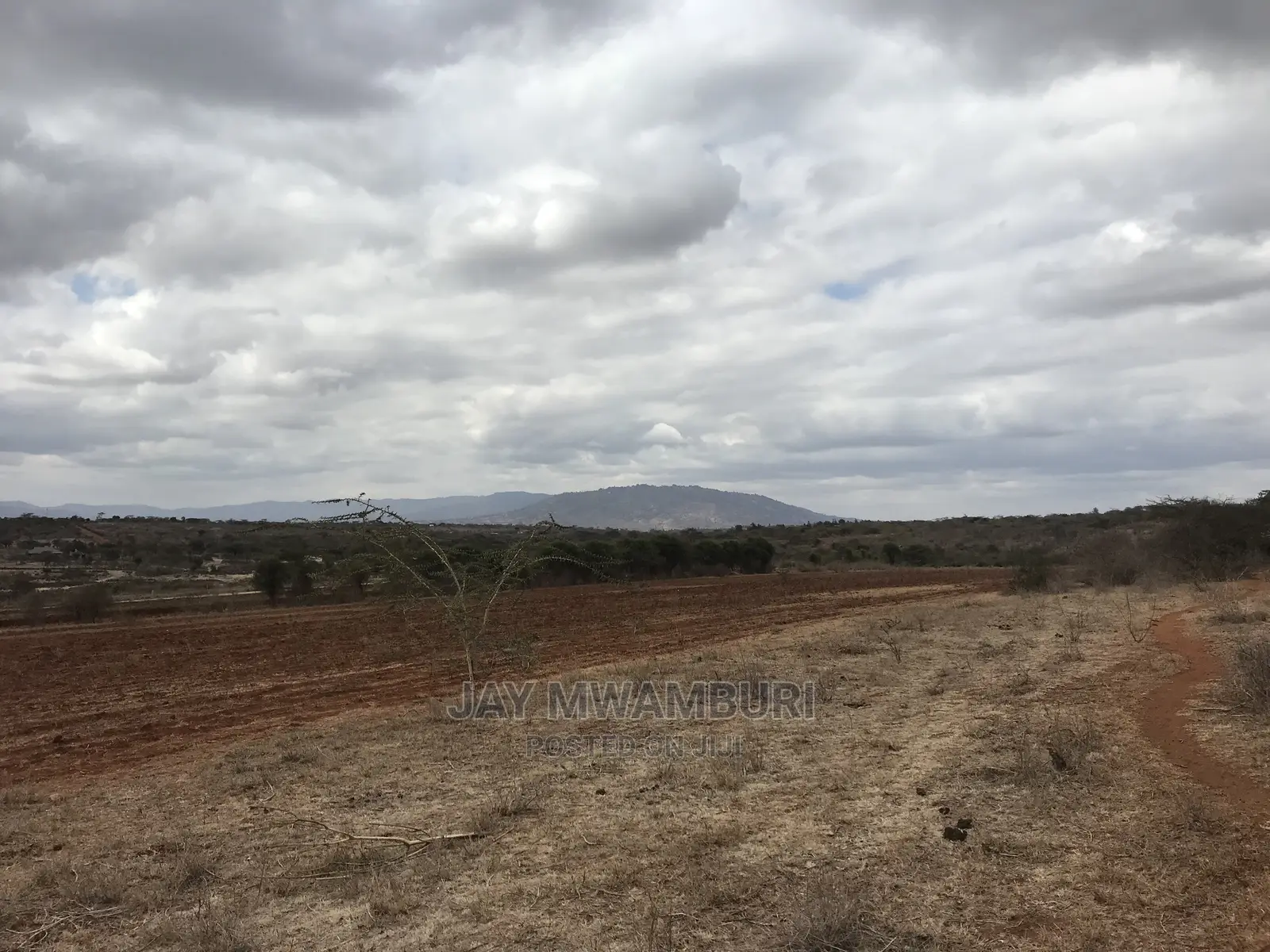10 Acre Konza