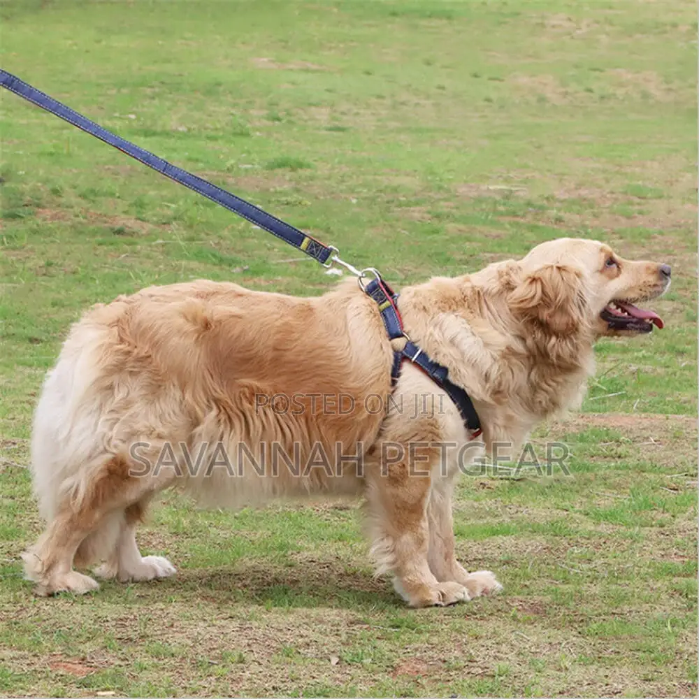 Adjustable Denim Dog Leash and Harness Set