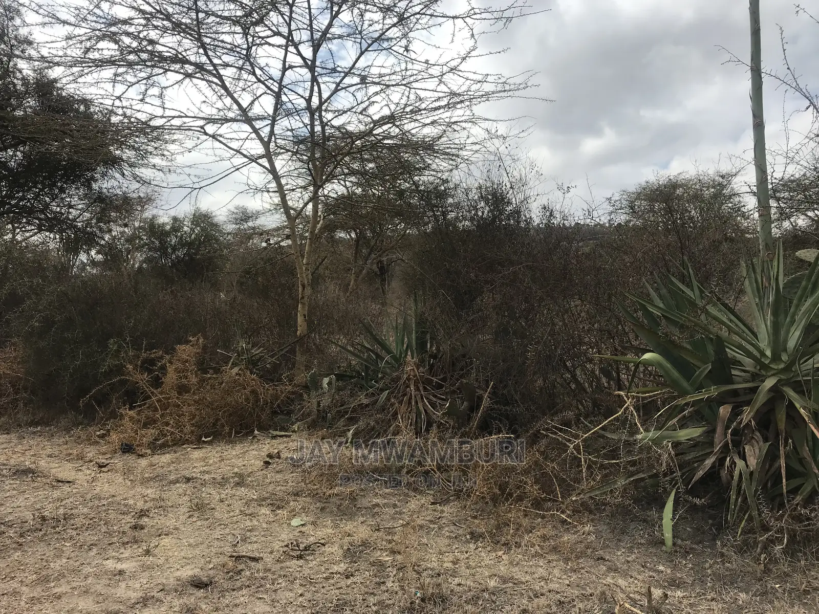 2 Acre Machakos Juction on Tarmac