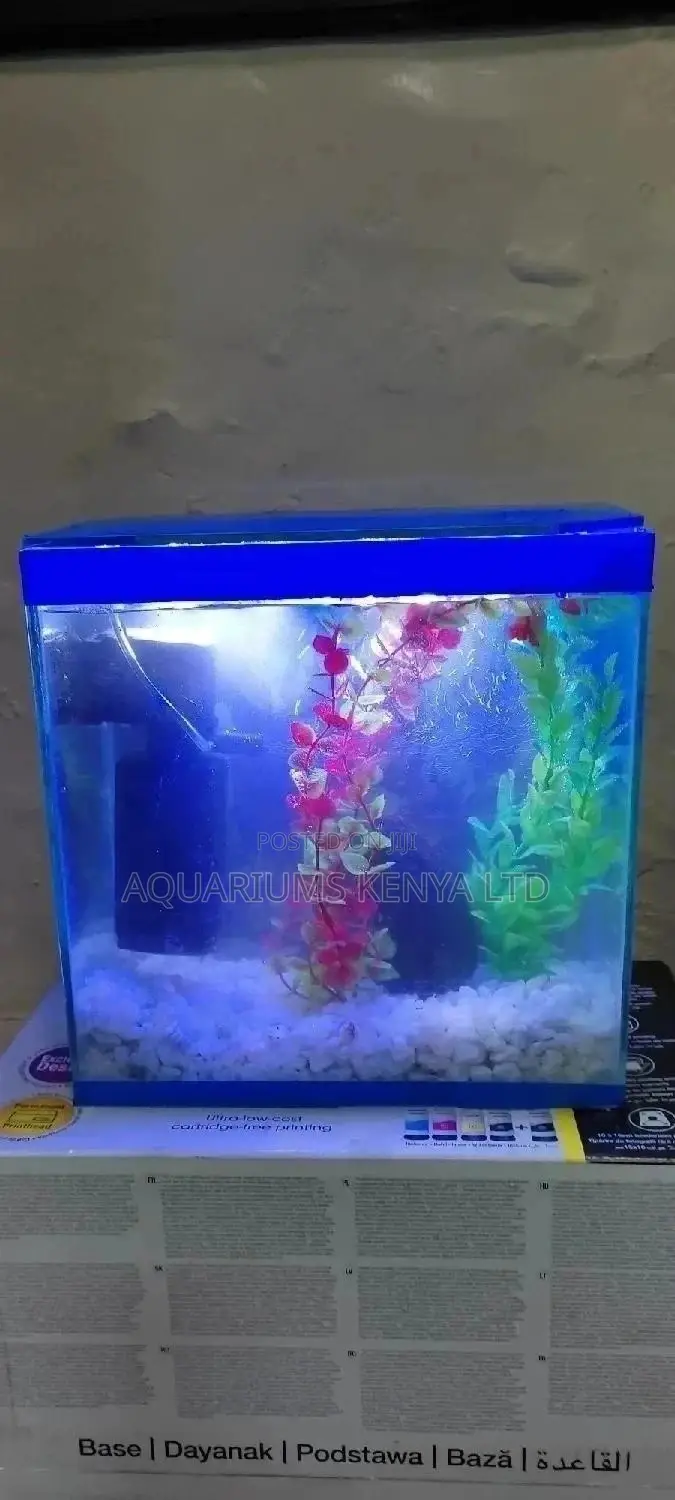 Affordable 10L Aquarium, Small Aquarium, Aquarium, Aquarium