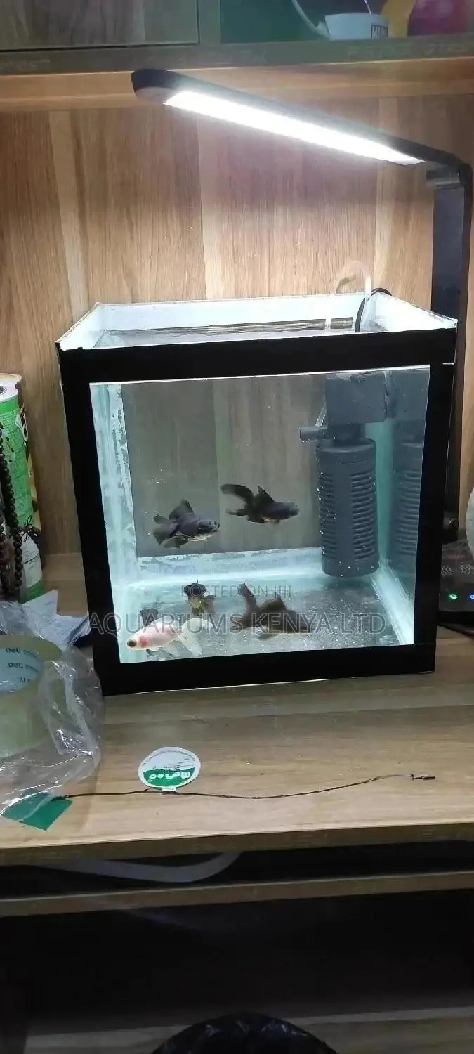 Full Aquarium , Custom Made Aquariums