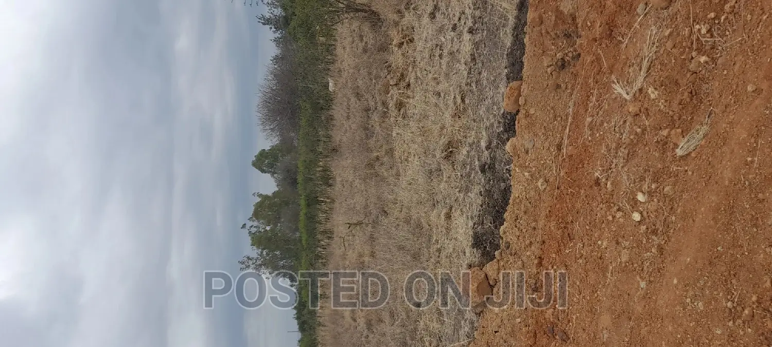 Plots for Sale