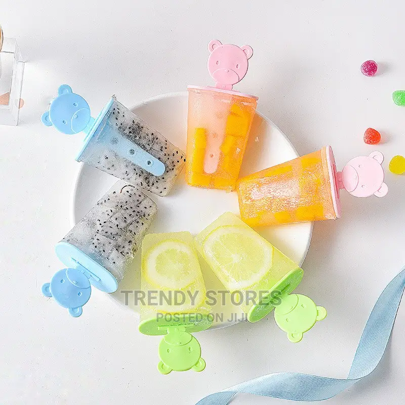 6 in 1 Set Ice Cream Mould Popsicle Maker Box DIY