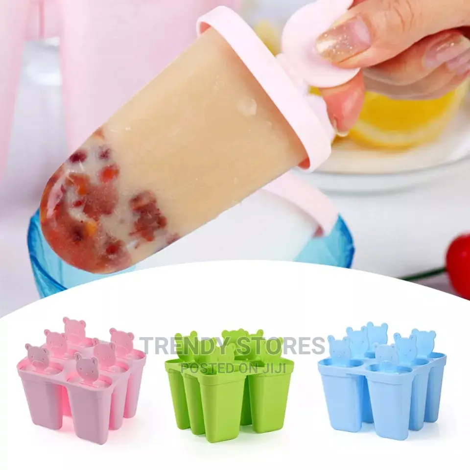 6 in 1 Set Ice Cream Mould Popsicle Maker Box DIY
