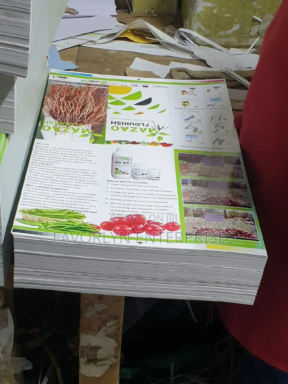 Fliers Printing in Bulk