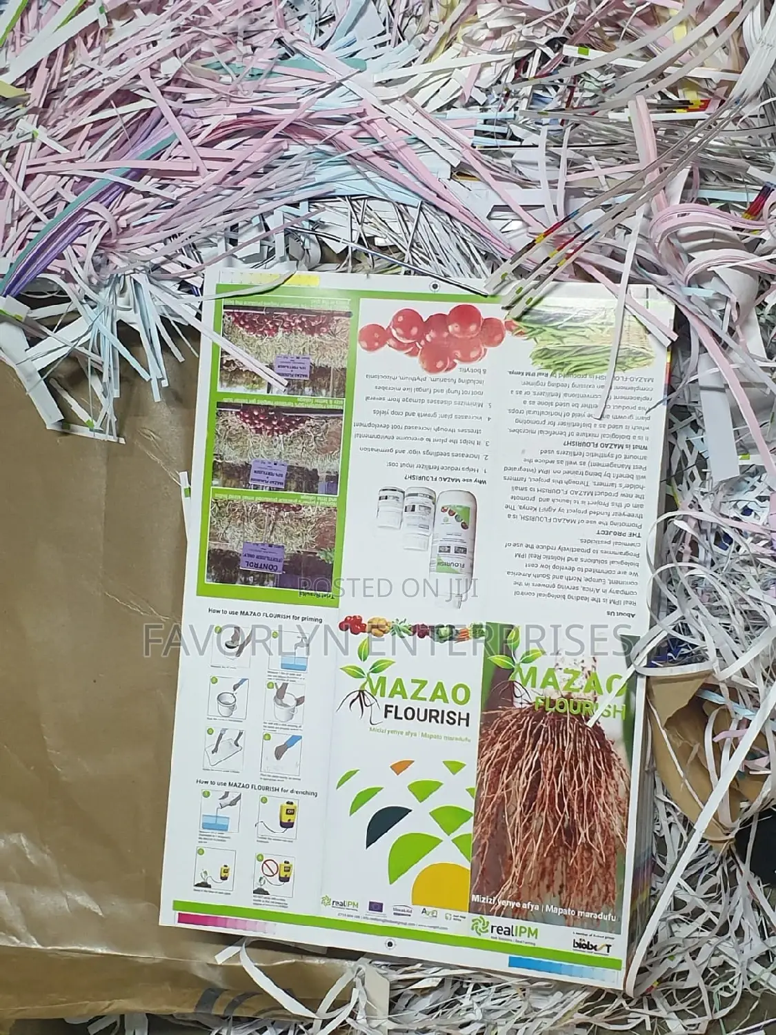 Fliers Printing in Bulk