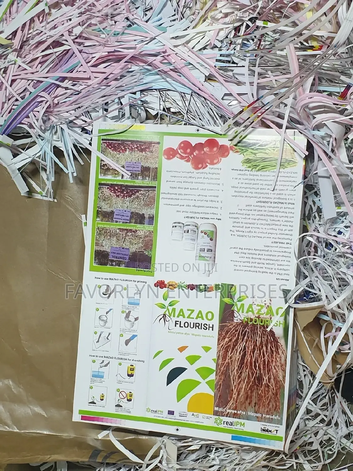 Fliers Printing in Bulk