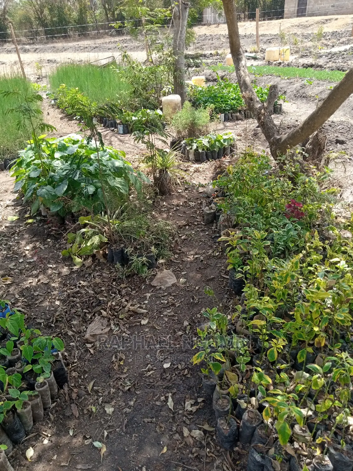 Half (1/2) Acre