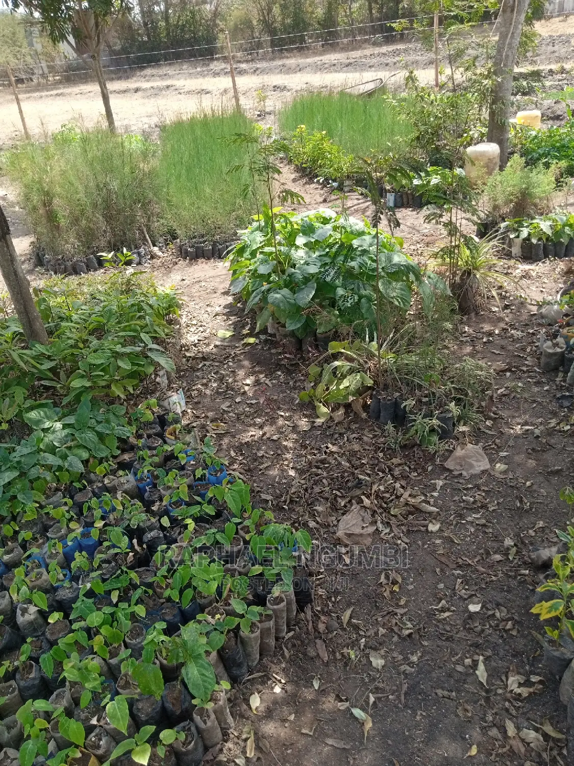 Half (1/2) Acre
