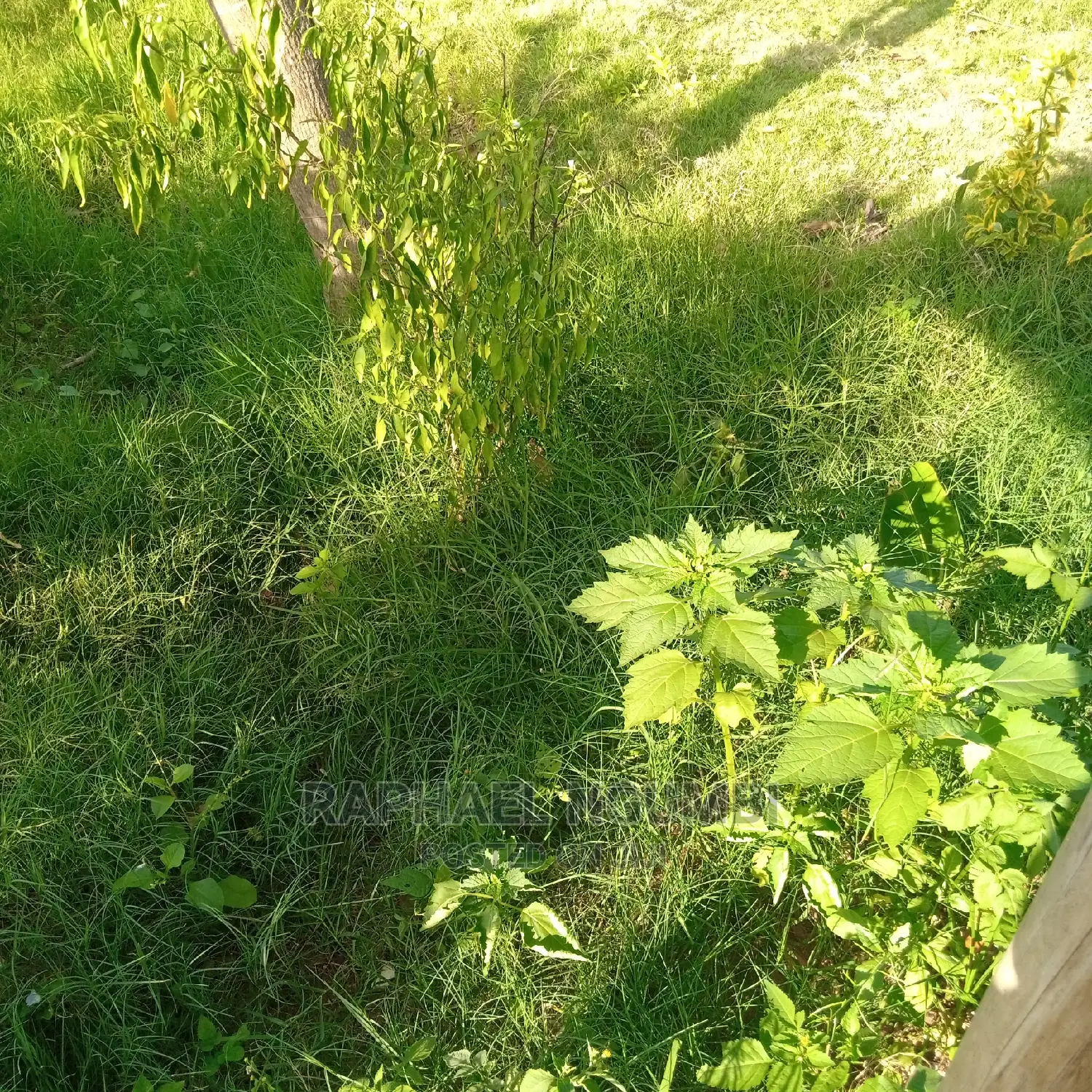 Four (4) Plots