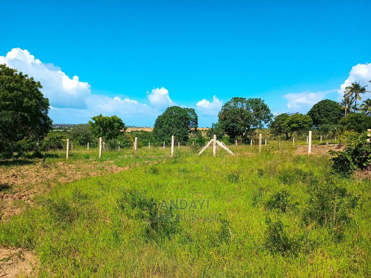 Dongo Kundu 50×100 Plots for Sale