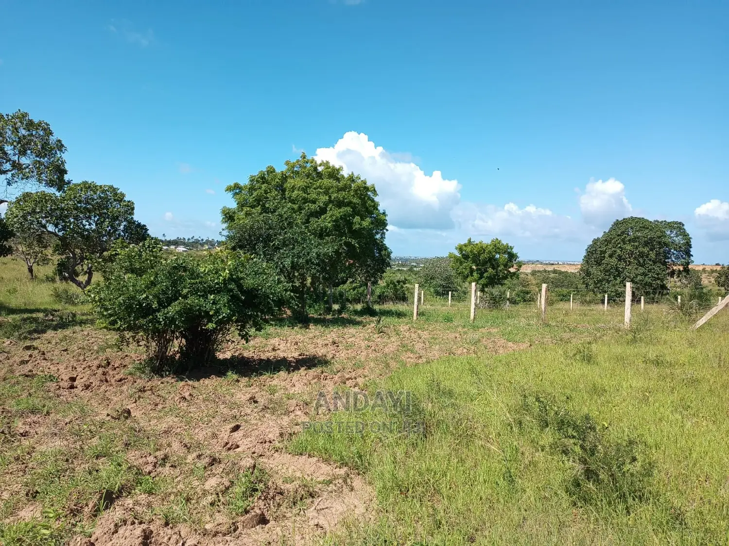 Dongo Kundu 50×100 Plots for Sale