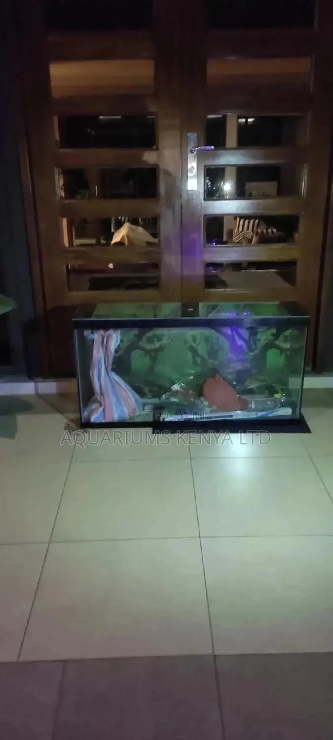 Aquarium Custom Made and Delivered