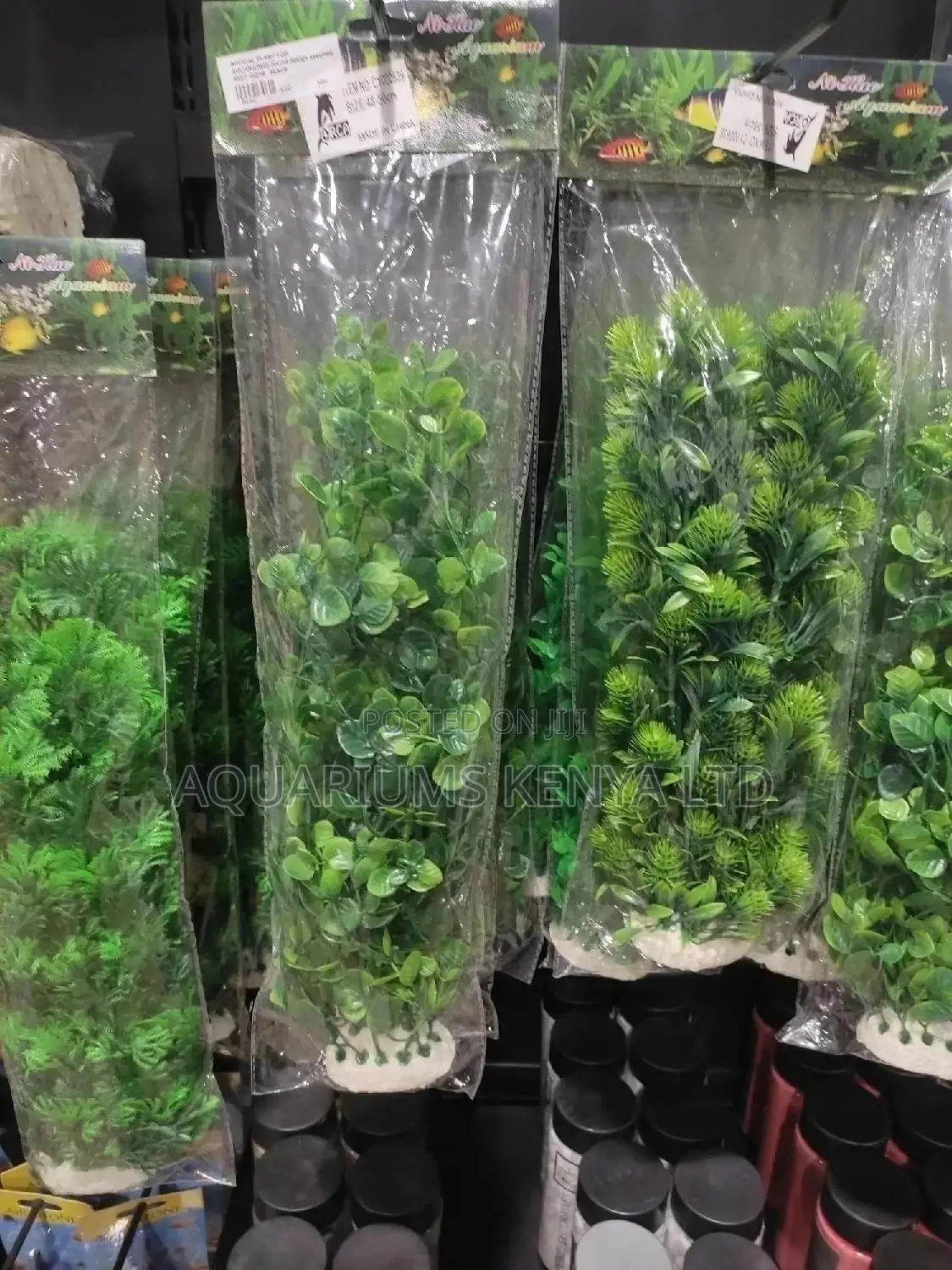 Unique Aquarium Plants