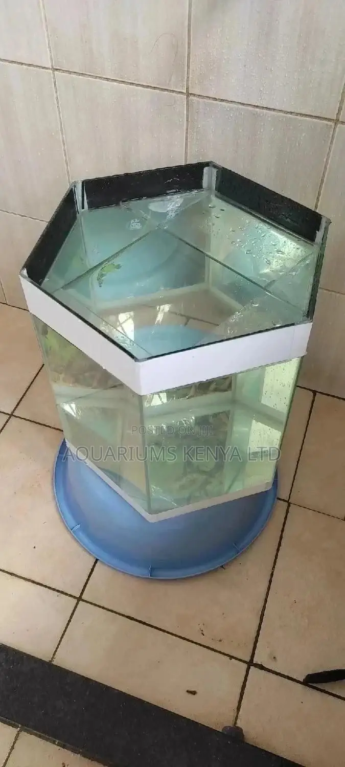 Aquarium Repairs,Glass Replacement , Silicone Job