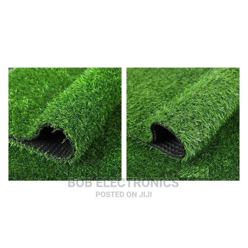 Turf Grass