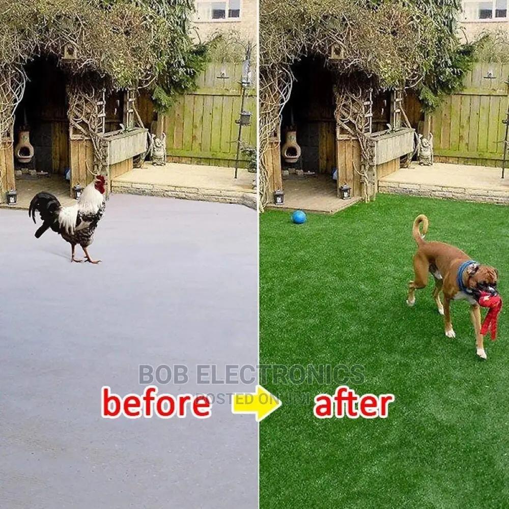 Best Quality Turf Grass