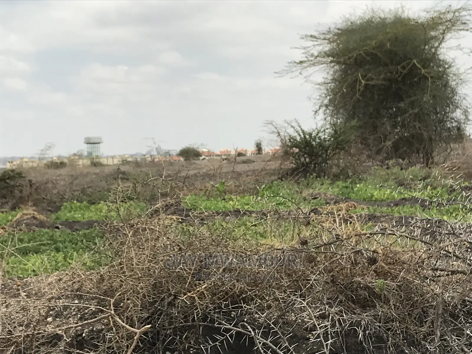10 Acre Arthi River