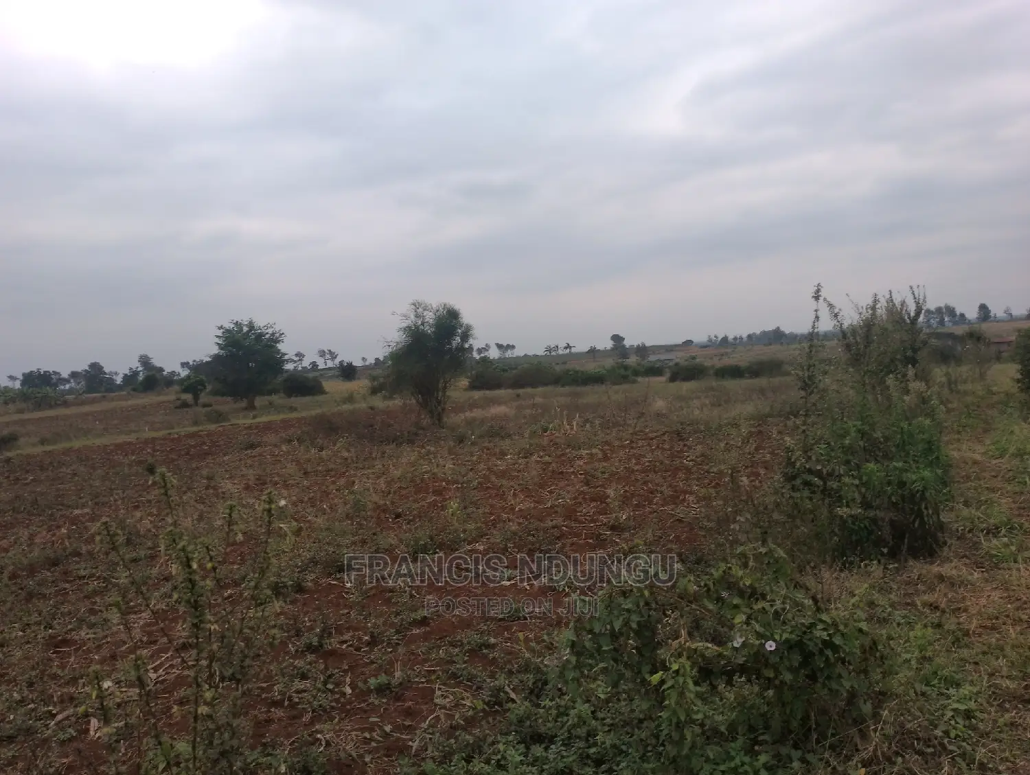 Residential Plots for Sale Matrofi Estate Near Migaa Estate
