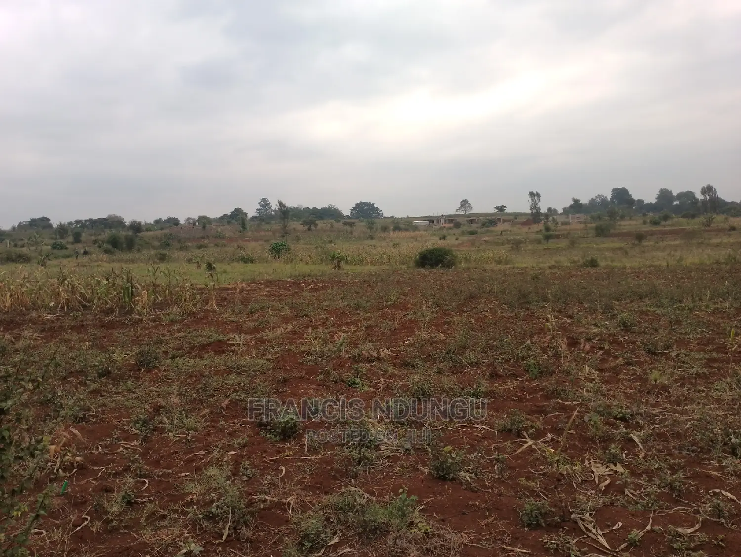 Residential Plots for Sale Matrofi Estate Near Migaa Estate