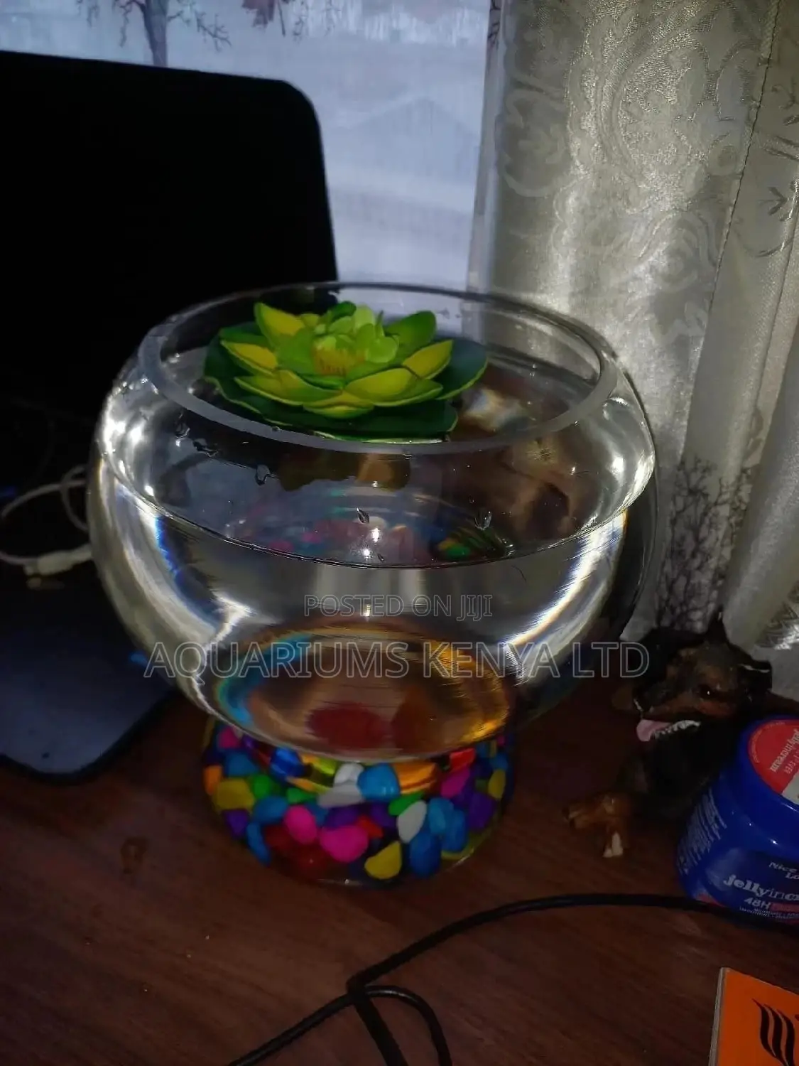 Plastic Fish Bowl 2L