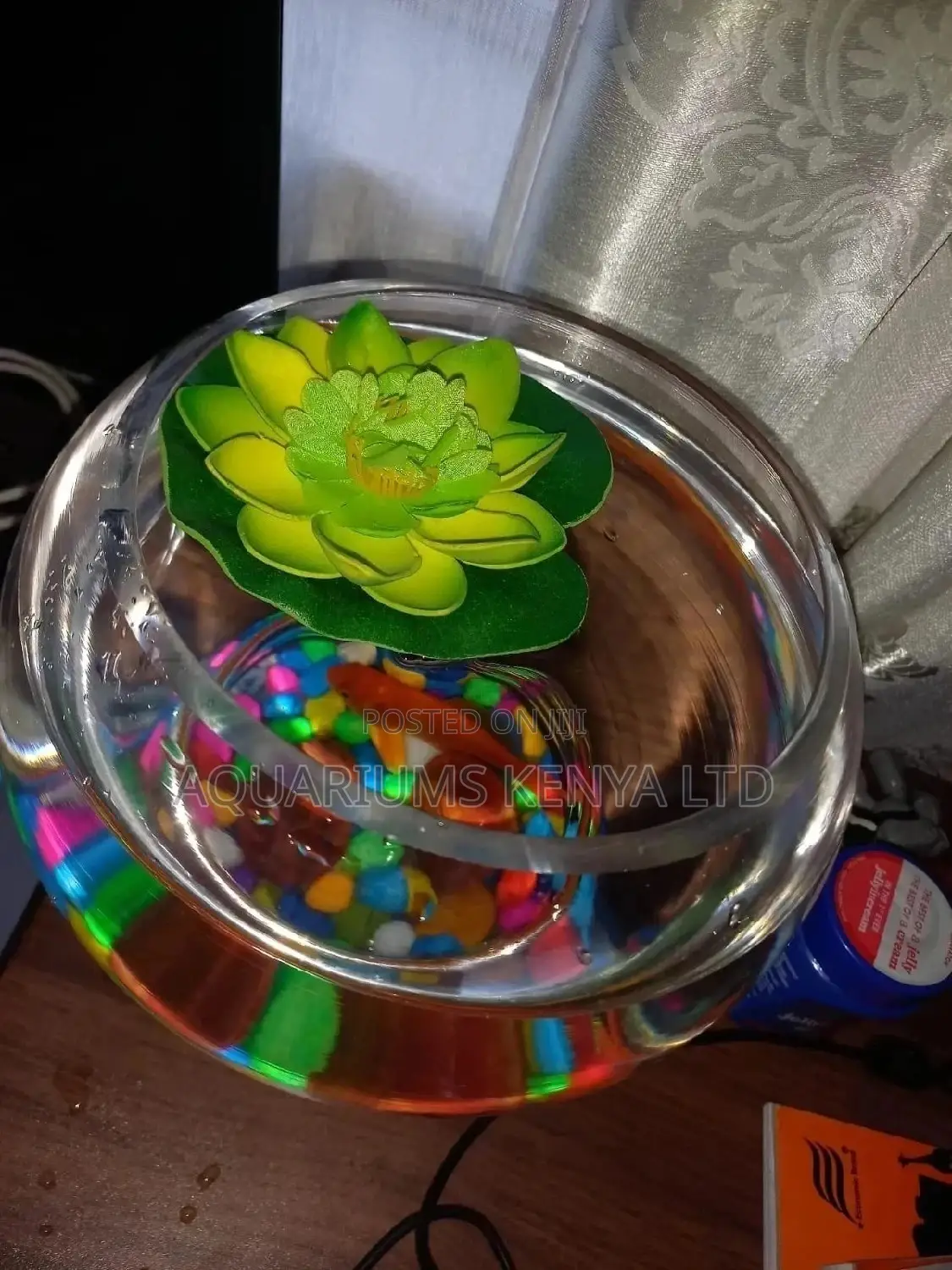 Fish Bowl,Unique and Complete