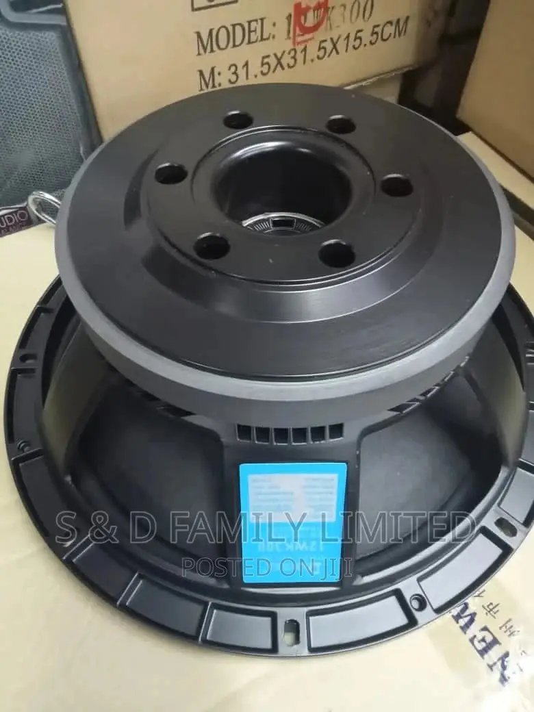 Derwel 12 Inch Speaker