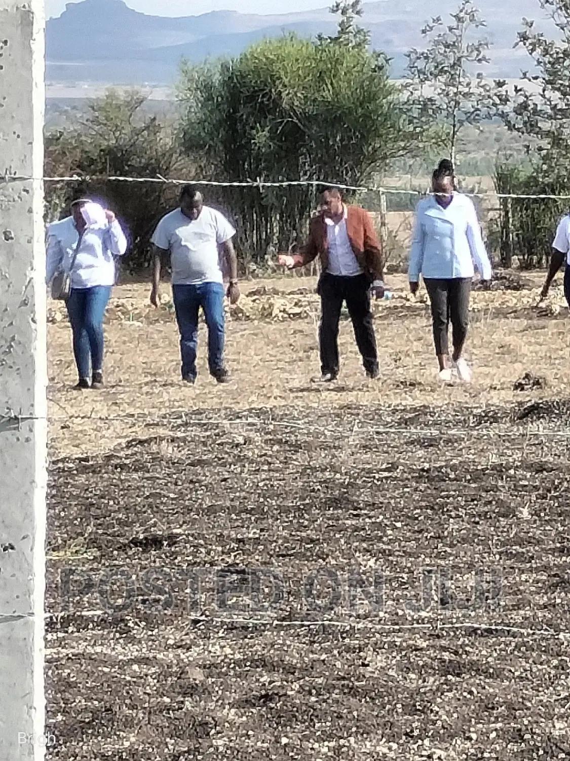 Don't Be Left Out on This Kamulu Plots.