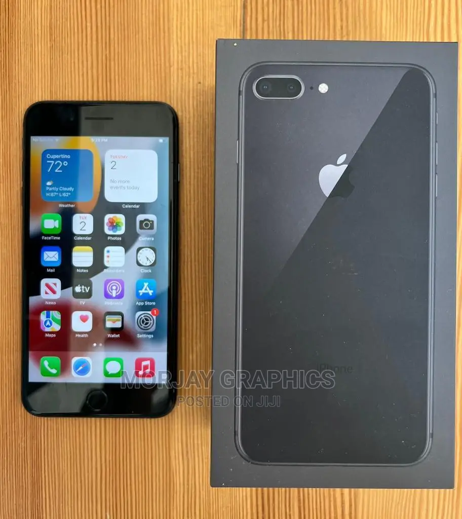 Apple iPhone 8 256 GB Gray