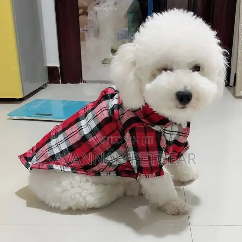 Spring Pet Clothes Shirt for Cats Dogs