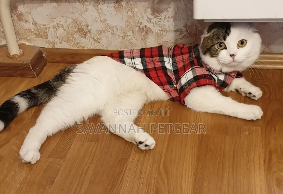 Spring Pet Clothes Shirt for Cats Dogs