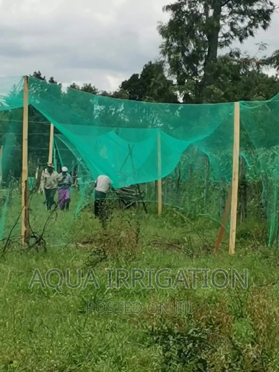 Bird Nets Measurements Are 4×50