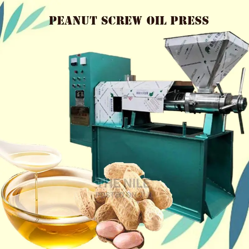 Hot Dual Automatic Peanut Oil Press