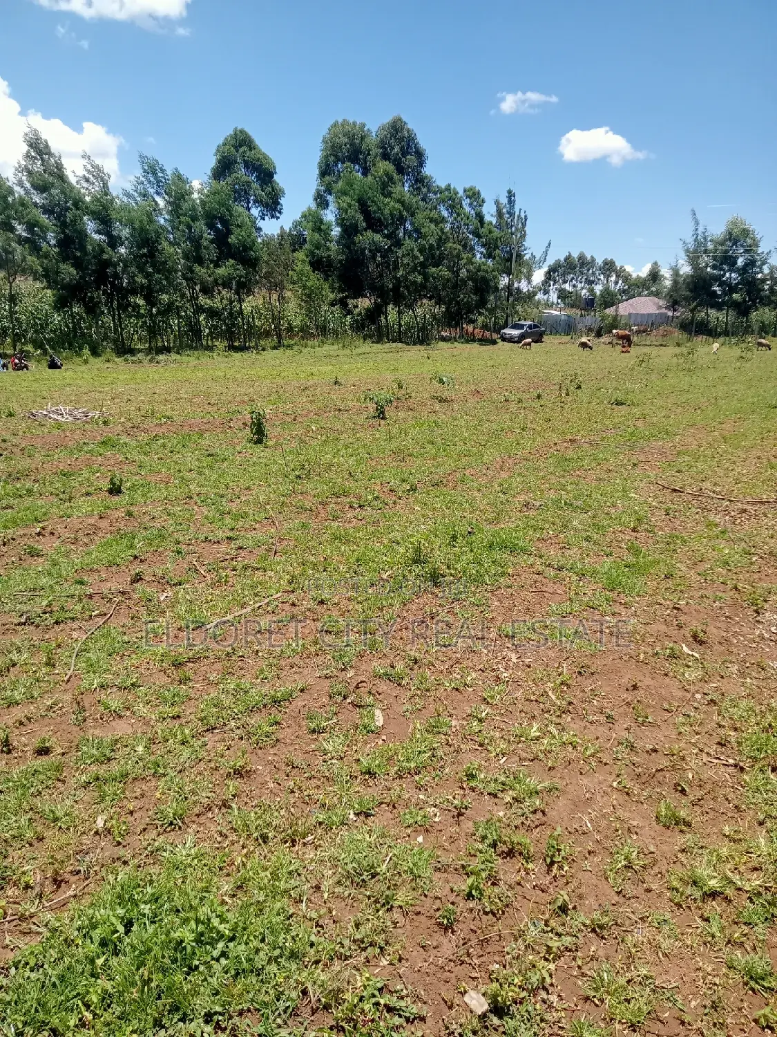 Several 1/8 and 1/4 Plots Annex Chemazone.