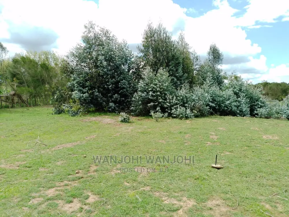 Prime Plots With Proximity to Tarmac