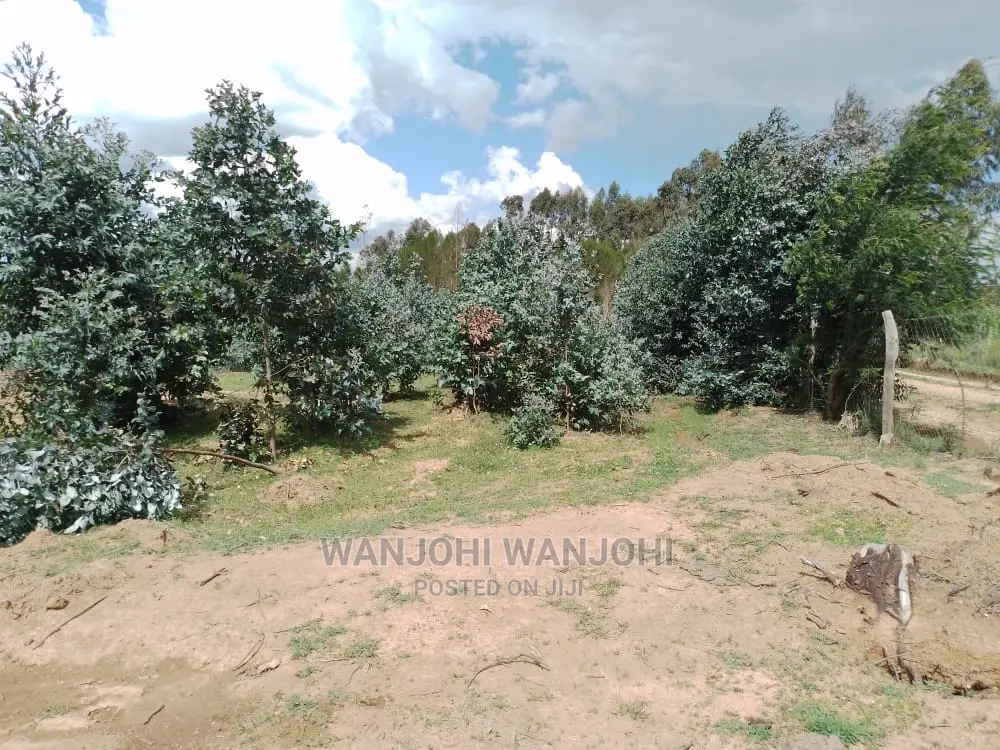 Prime Plots at the Heart of Nyandarua County