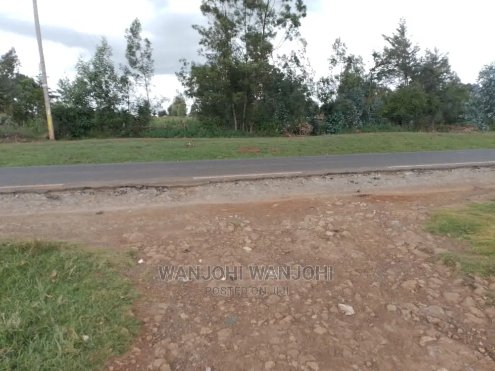 Prime Plots in Oljoro-Orok