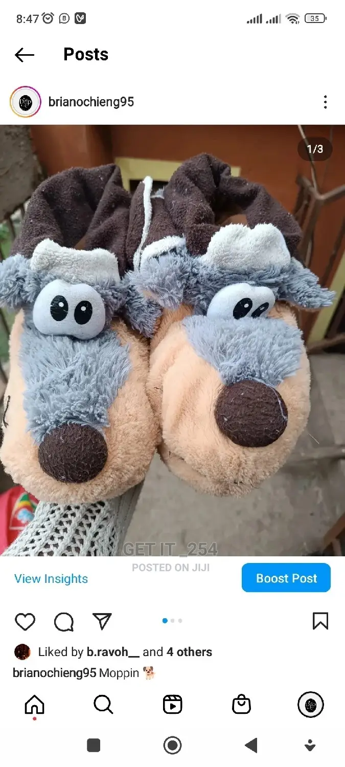Indoor Sandals
