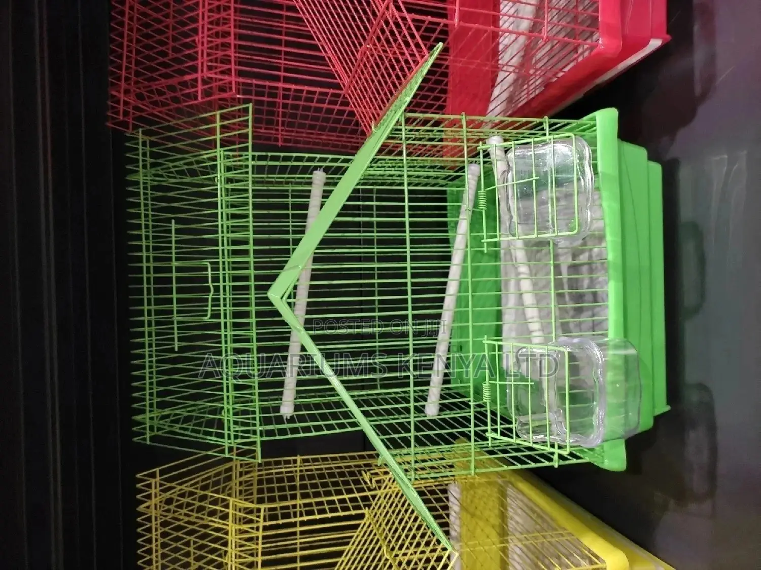 Green Bridges,Love Bird Cages