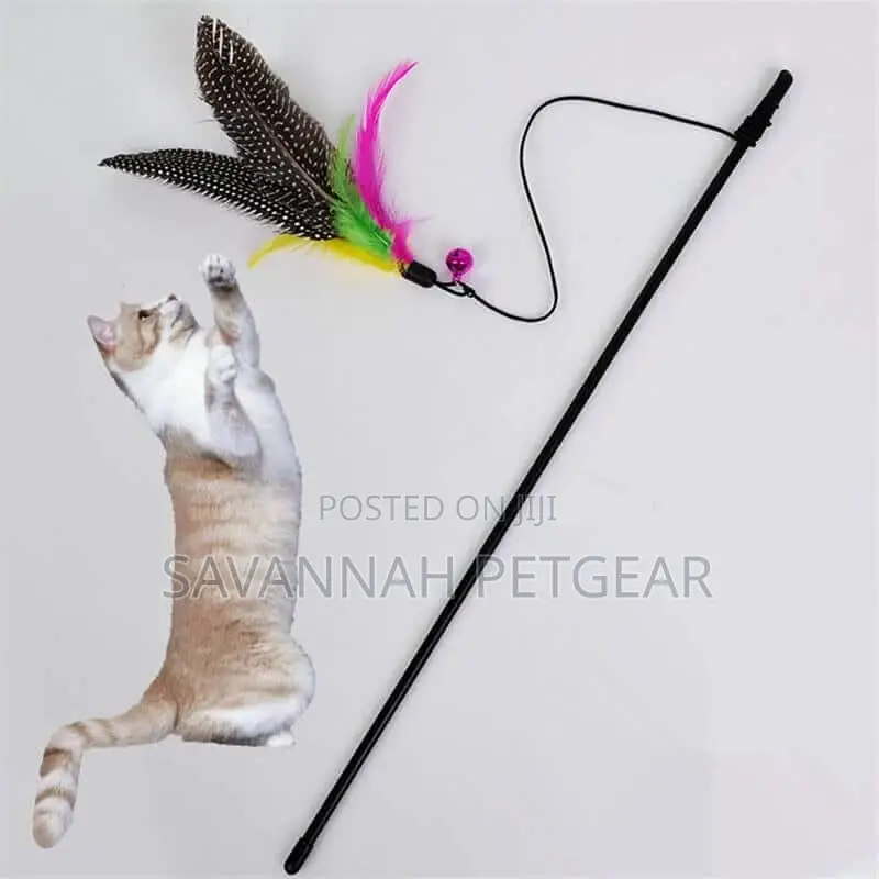 Bird Feather Teaser Wand Cat Toy