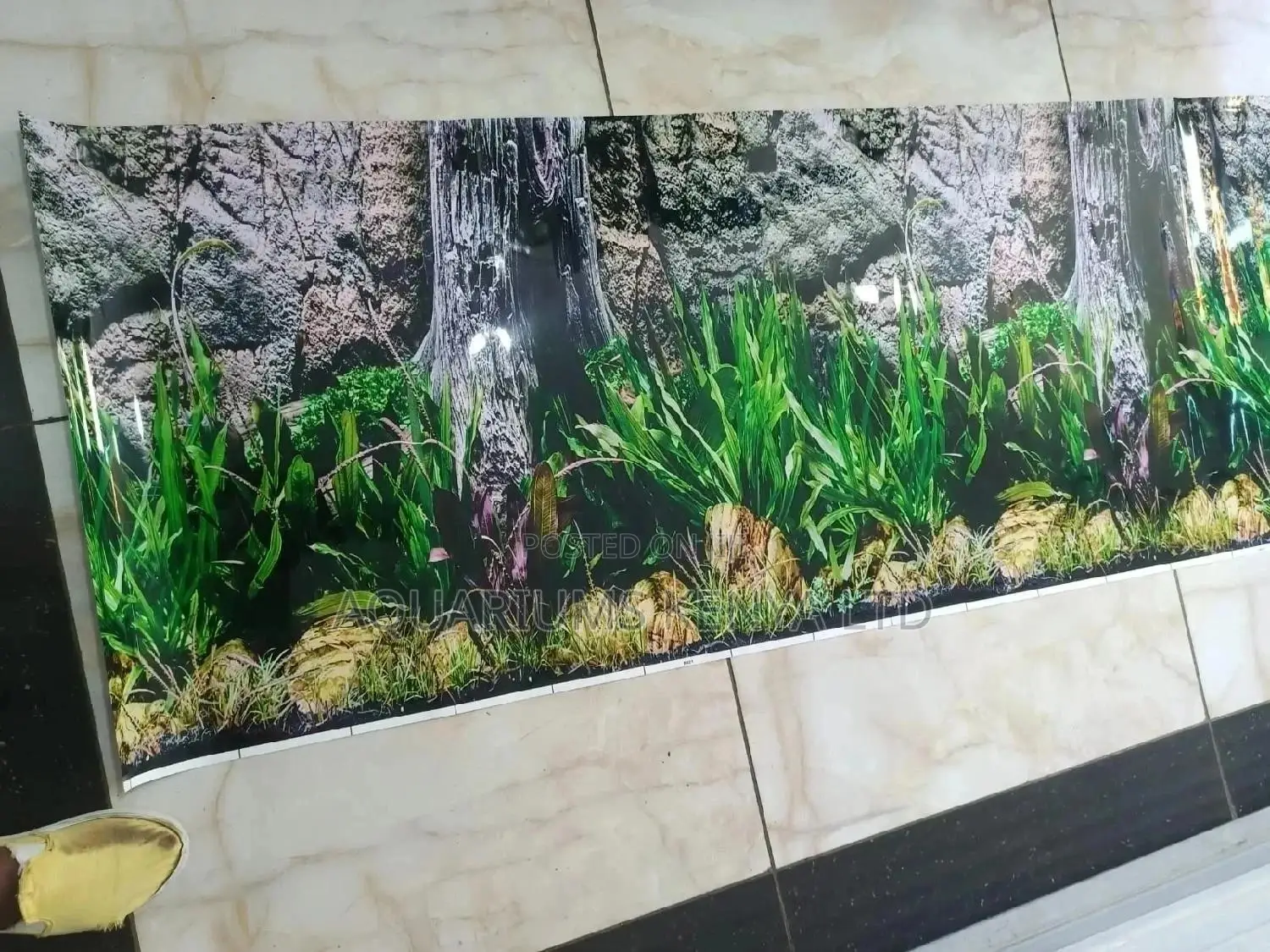Aquarium Background With Nature Look