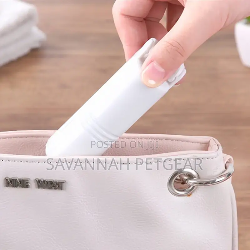 Portable and Reusable Lint Roller