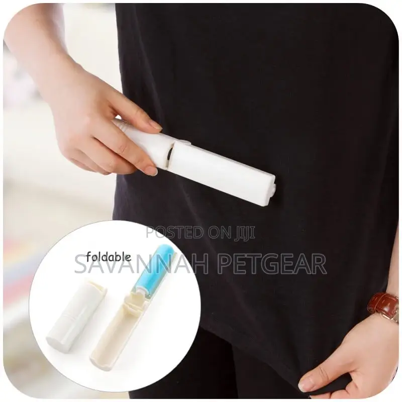 Portable and Reusable Lint Roller