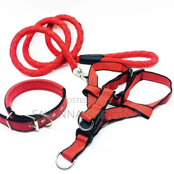 3 in 1 Nylon Leash Dog Strap Harness Set Step in Dog Harness