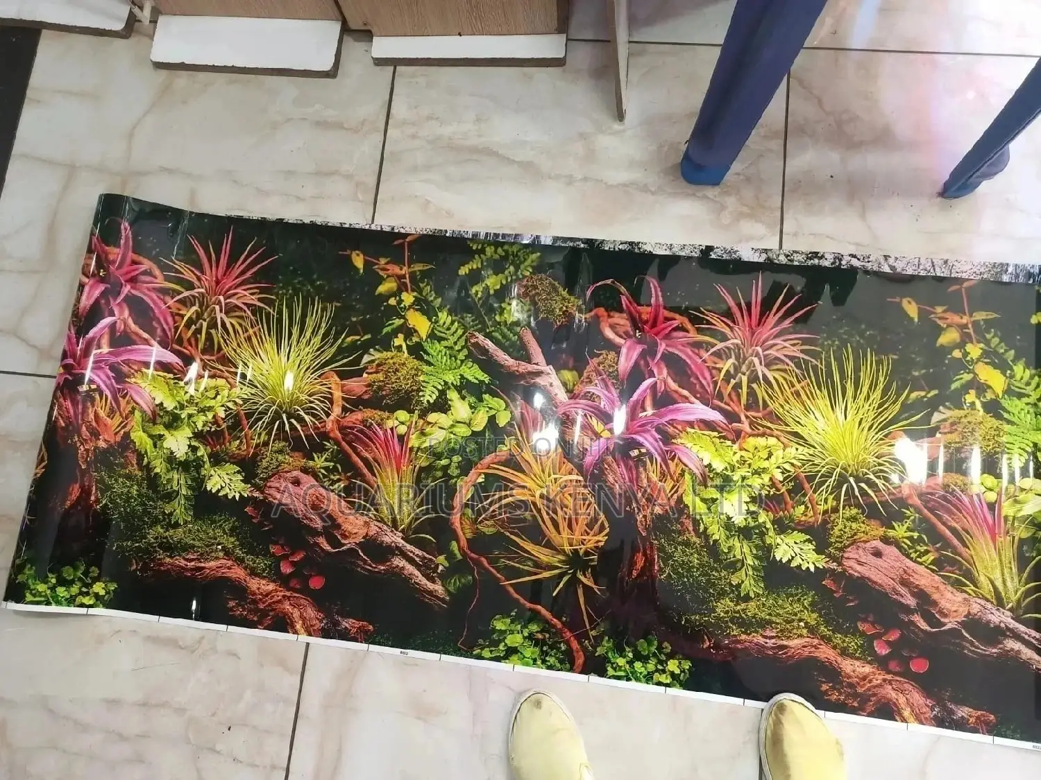 Planted Aquarium Background Paper